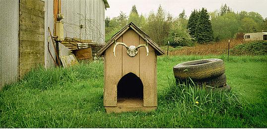 欧洲10月榜：《刺客信条：幻景》表现喜人